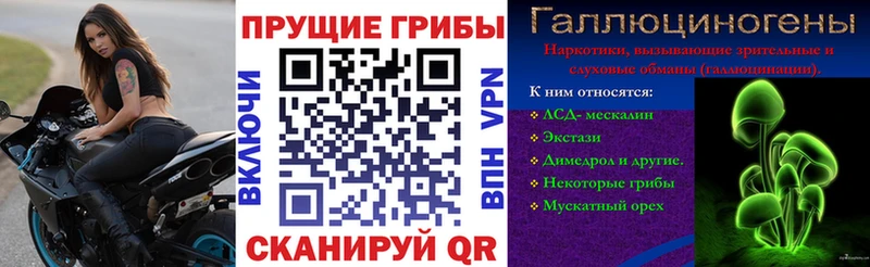 Псилоцибиновые грибы GOLDEN TEACHER  Сретенск 