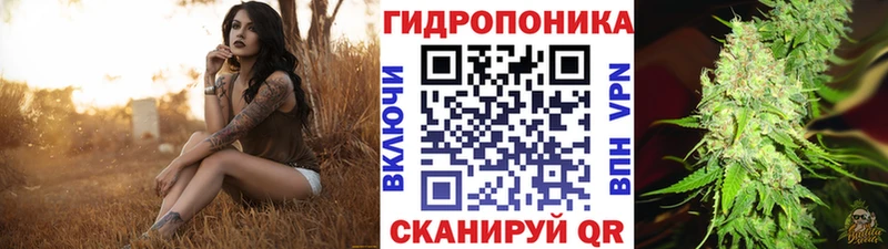 Конопля гибрид  Сретенск 